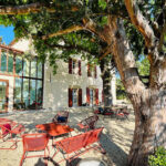 Basitde-ikigai-aix-en-provenance